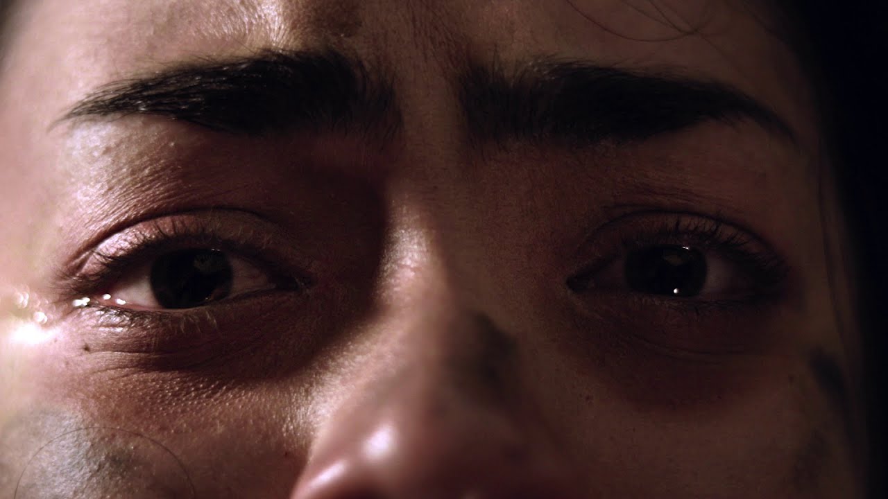 Lançamento do projeto audiovisual: A Metamorphösis’ Tale de Lia Kapp