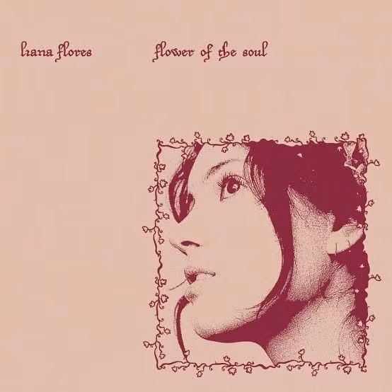 Capa com fundo rosa e a imagem da cantora Liana Flores em uma moldura.