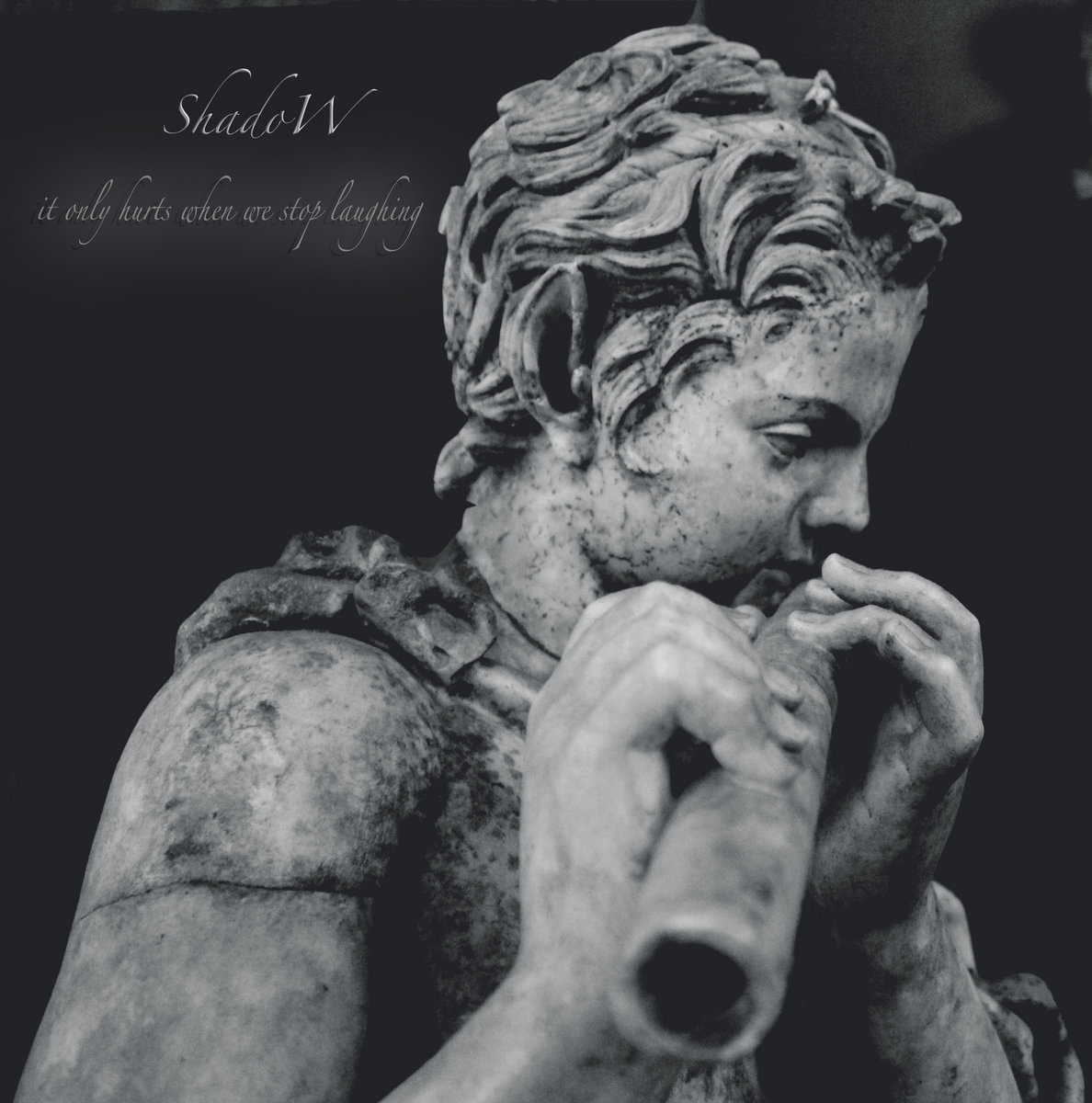 Shadow - It only hurts when we stop laughing (2012)