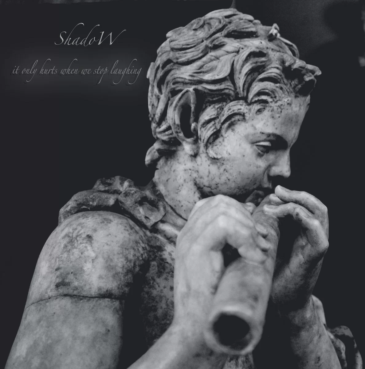 Shadow - It only hurts when we stop laughing (2012)
